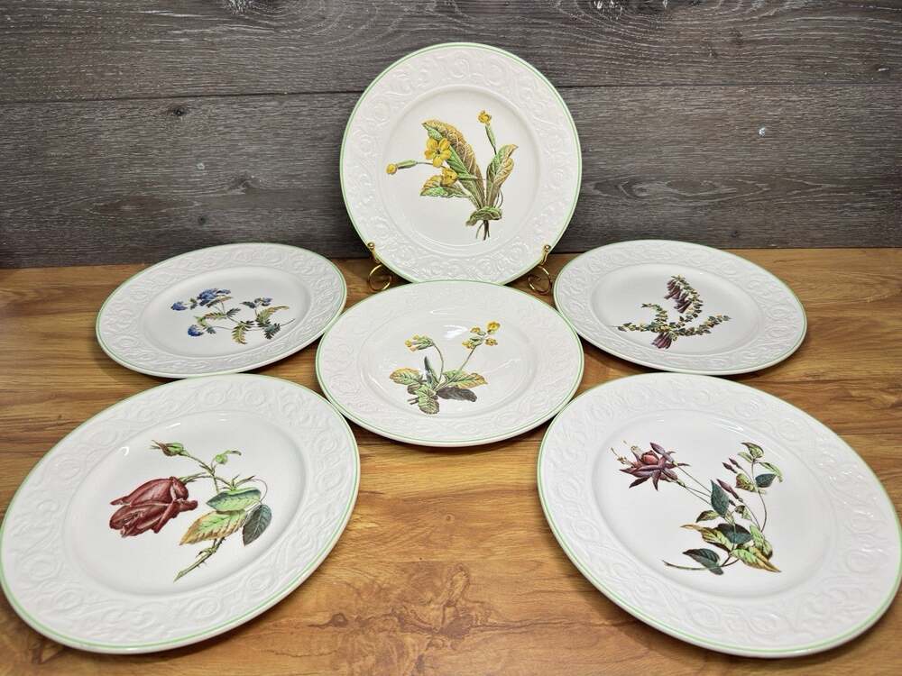 Spode England Copeland Wildflowers Embossed 9.25" Luncheon Plate Green Rim~6 Pc